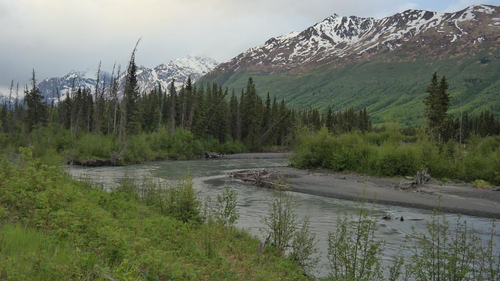 Eagle Peak Guesthouse Eagle River Экстерьер фото
